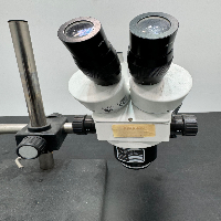 Stereo Microscope image 2